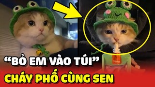 BỎ EM VÀO TÚI phiên bản Hoàng Thượng và anh Sen khiến bao người TRẦM TRỒ 😍 | Yêu Lu