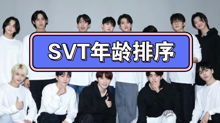 [SEVENTEEN] A passerby’s surprisingly thoughtful age ranking