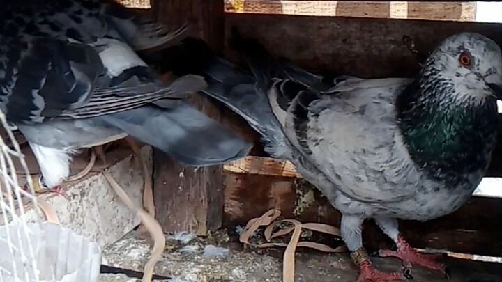 sana my mapakain ako sa nio araw araw