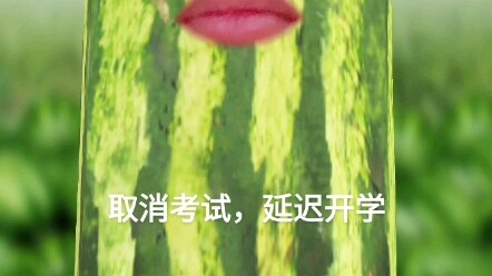 Cancel exams, postpone the start of school