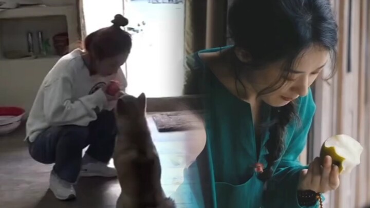 Six years have passed—Gouzi is no longer the same Gouzi, but Zhao Liying is still the same Zhao Liyi