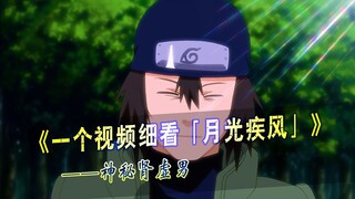 一个视频细看月光疾风的一生，主角的名字，配角的命运