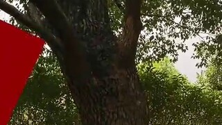 September 3rd is sunny and suitable for hanging