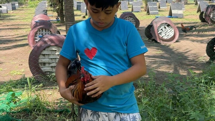 Lalakas ng ating CBR big Bone