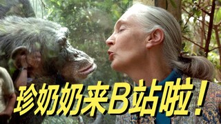 สวัสดีเพื่อนๆ ชาวจีน ฉันชื่อ เจน กูดดอลล์ ฉันมาแล้ว!