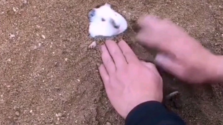 Super Cuteness Ahead!