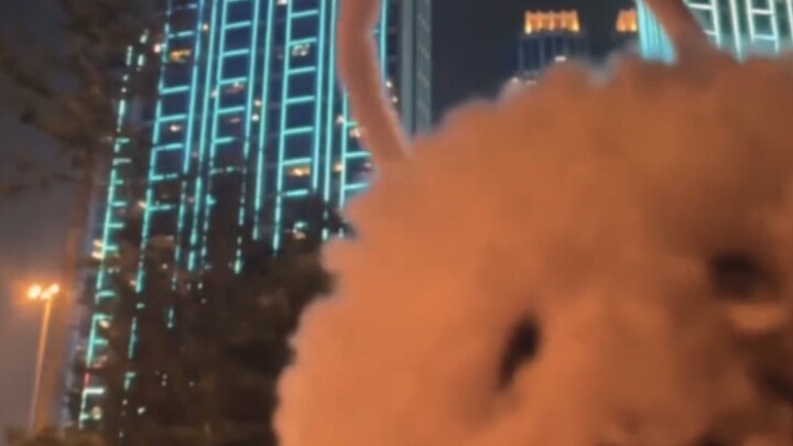 Pasti ada yang salah dengan orang-orang yang mengejar realita di dunia maya.