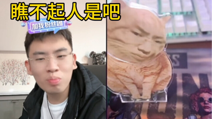 ลูกแมวจอมส่ายหัว ใช้แค่ซาลาเปาสองลูกเท่านั้น