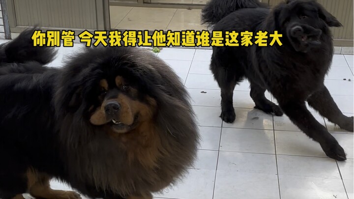 "غضب يهدّد خط الحياة"