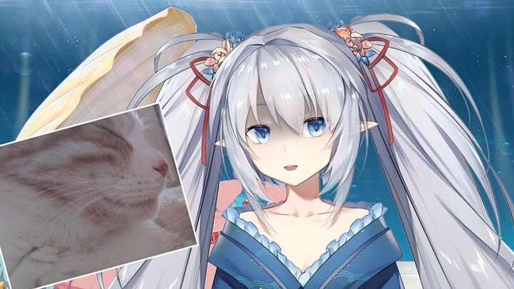 Sau Đô đốc, ngay cả con mèo của tôi cũng muốn nhảy vào mặt tôi