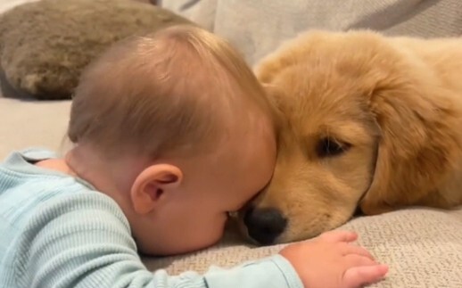When Dad gifts a nine-month-old baby a little puppy 🐶