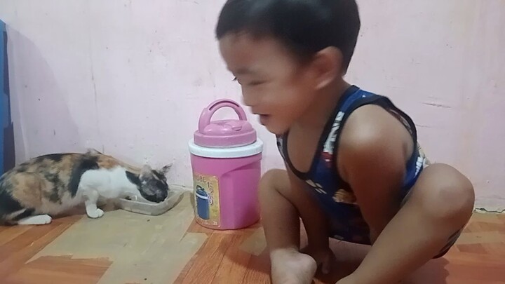 pusa