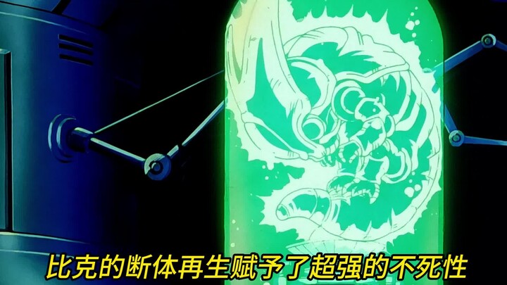 沙鲁为啥没有洗白的可能