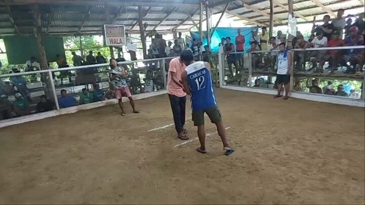 2 hits Champion Bulik
