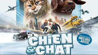 Chien&Chat