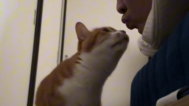 ระดับกลิ่นปากของเจ้านายหลังตื่นนอน