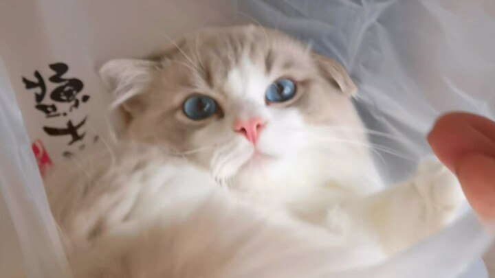 Your delivery’s here!