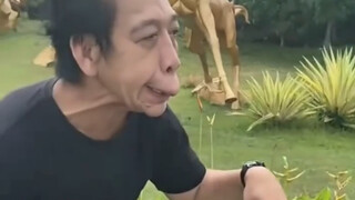 !!!! Mulailah dengan semprotan langsung!!!