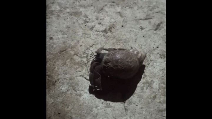 so funny coz i find like this🤣🤣🤣🤣