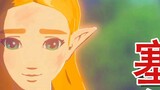 [Red Sage Lang] Ketika Zelda bertemu Sage Lang, lihat cinta murni antara Link dan Zelda!