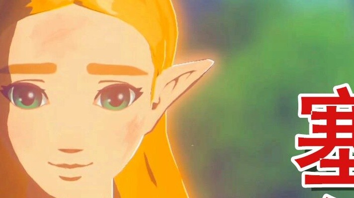 [Red Sage Lang] Ketika Zelda bertemu Sage Lang, lihat cinta murni antara Link dan Zelda!