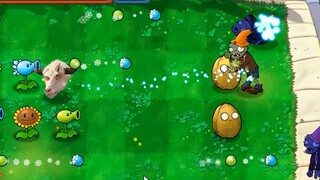 Introduction to Ice Shooter Plants! ?