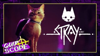 Stray [GAMEPLAY & IMPRESSIONS] - QuipScope