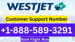 Quick List of Official™Turkish Airlines@ Contact Numbers In The USA - An In-depth Official Guide