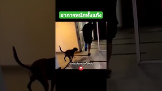 อาการหนักกันทั้งแก๊ง