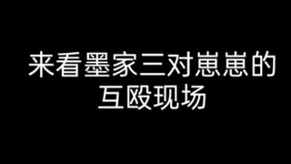 来看墨家三对崽崽的互殴。