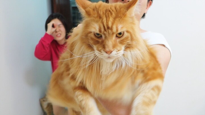 หลังจากเลี้ยงแมว สภาพจิตใจดีขึ้นจริงๆ!