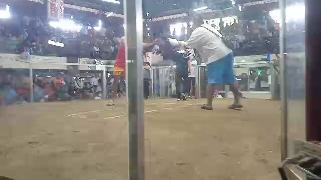 2 hits sta. quiteria arena