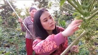 hai mẹ con đi hái bông đu đủ đực biếu người bệnh.