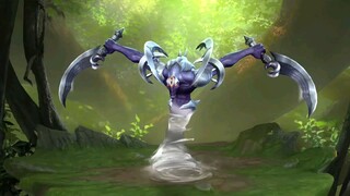 zill #aov