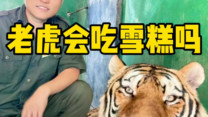 这不比雪糕吃的过瘾啊？