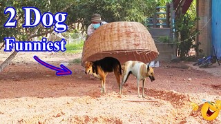 [Best Prank Dog] Super Handmade Basket vs Prank Dog - Happy Laugh 2021😅 😂 🤣