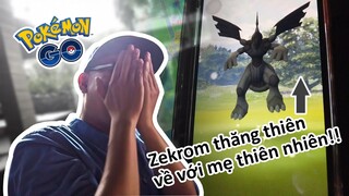 Anhktay lanh chanh bắt dùm boss 5 sao và cái kết làm bay Zekrom iv 96 của Lano