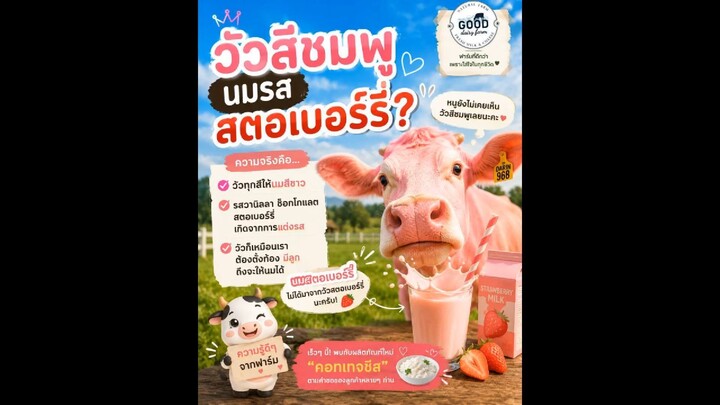 วัวนม...ไม่ได้ให้นมตลอดชีวิตนะครับ