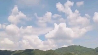 Dipaksa nikah seorang CEO lumpuh demi $5juta, dia tak menyangka itu CEO tampan dan cinta pertamanya