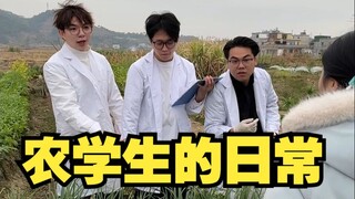 Có ai không phân biệt được hành lá và tỏi không?