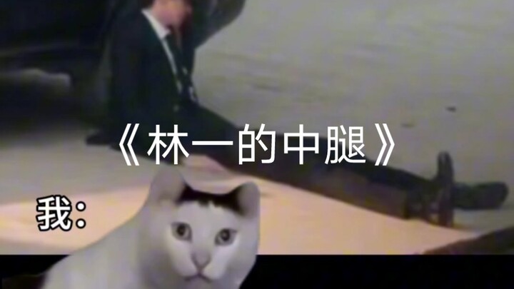 «فخذ لين يي المتوسط»