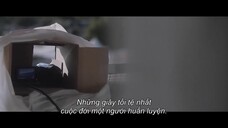Vua cá heo cuối cùng Full Movie [Sub Việt]