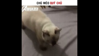 Chú Mèo Quý Chủ