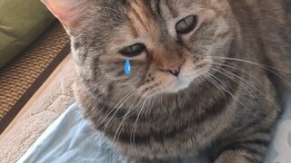 Poetry Recitation: "I'm Starving and Shivering on a Cold Morning of the Beginning of Winter"