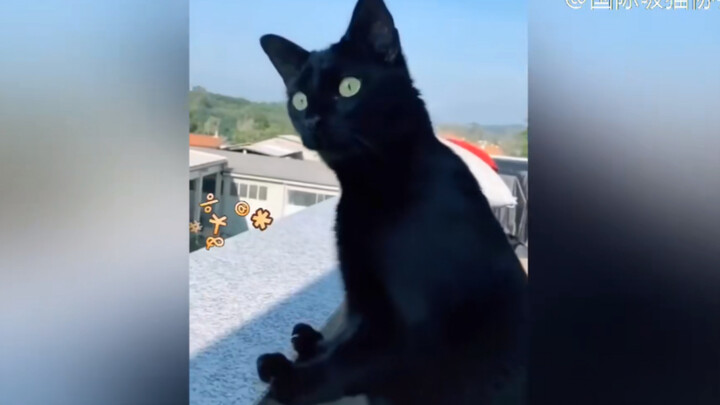 When your neighbors are arguing…