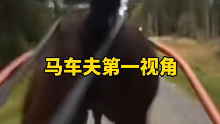 A sneaky horse running on a horse-drawn carriage