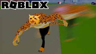 ROBLOX Và CÁCH TÔI SĂN BOUNTY BẰNG LEOPARD TRONG BLOXFRUITS