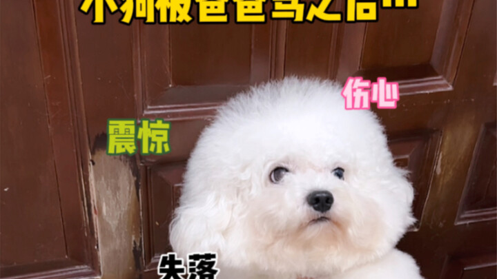 โอรีโอ้: ไม่ชอบคุณพ่อตัวเหม็นอีกแล้ว!