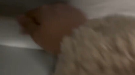 Chẳng phải nó bị bệnh à?