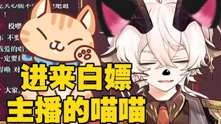谁在直播间养了这么多猫猫啊！！【凛-阿格里亚斯】